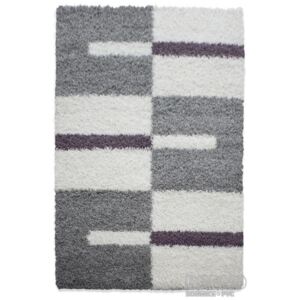 Chlupatý kusový koberec Gala Shaggy 2505 Lila | fialový Typ: 120x170 cm