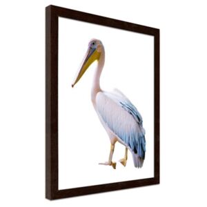 CARO Obraz v rámu - Pelican 50x70 cm Hnědá