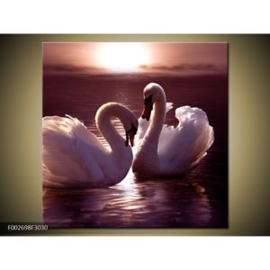 Obraz labutí na jezeře (F002698F3030)