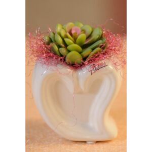 Paramit Heart bílá váza 15 cm