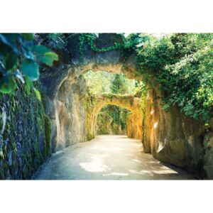Fototapeta, Tapeta Garden Tunnel, (368 x 254 cm)