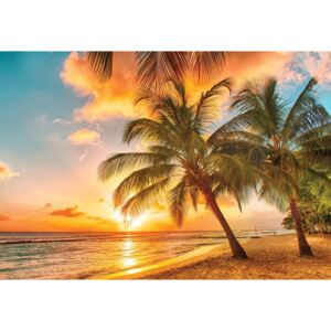 Fototapeta, Tapeta Tropical Beach Sunset Palm Trees, (254 x 184 cm)
