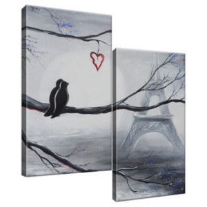 Obraz na plátně Ptačí romantika v Paříži 60x60cm 3440A_2A