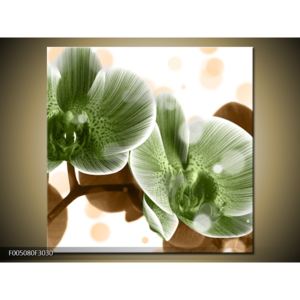 Obraz zelených orchidejí (30x30 cm)