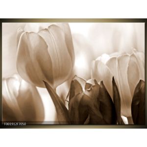 Krásný černobílý obraz tulipánů (70x50 cm)