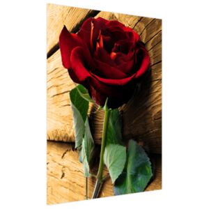 Roleta s potiskem Růže pro milovanou 110x150cm FR3403A_1ME