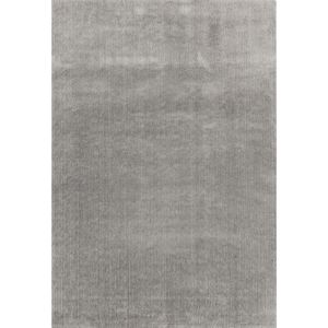 Kusový koberec Camaro 496-04 silver 80 x 150 cm