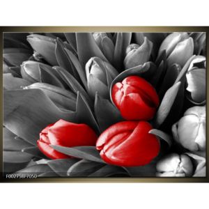 Obraz tří červených tulipánů (F002758F7050)