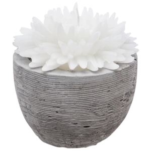 Dekorativní svíčka, bílý květ v hrnci cementu, 100g