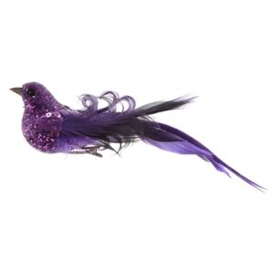 Ptáček na skřipci fialový